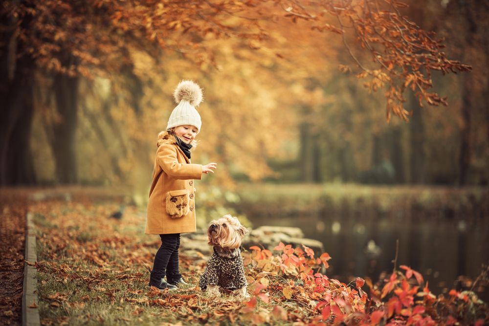 Подружимся?