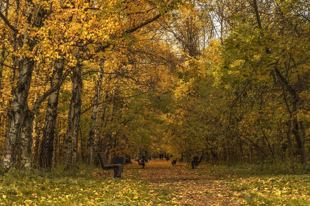 Photograph by Кожевников Сергей
