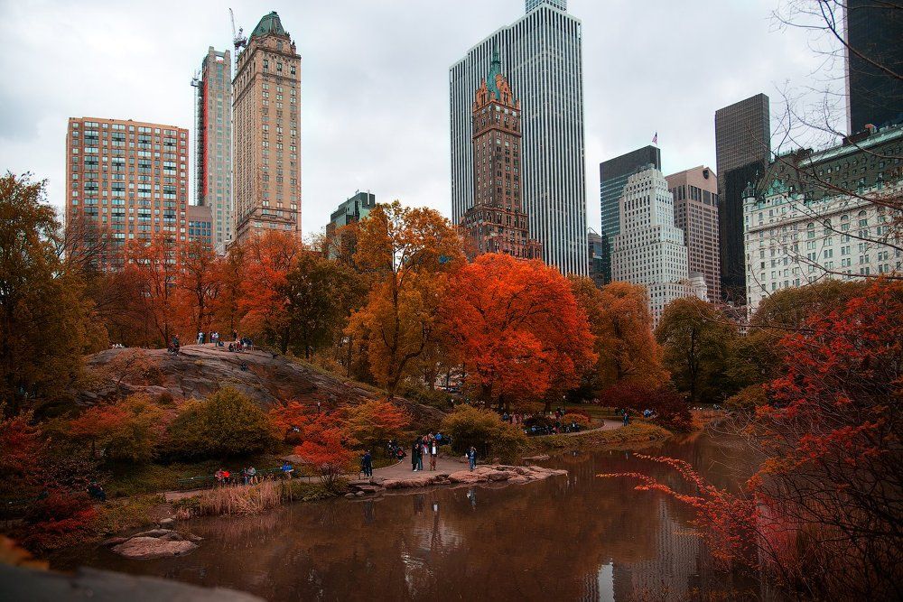 Autumn in New York