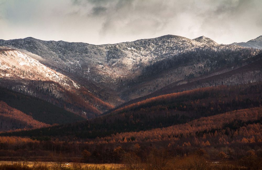 Осенние контрасты