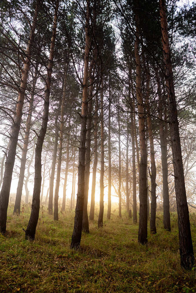 Photograph by Сергей Ивания