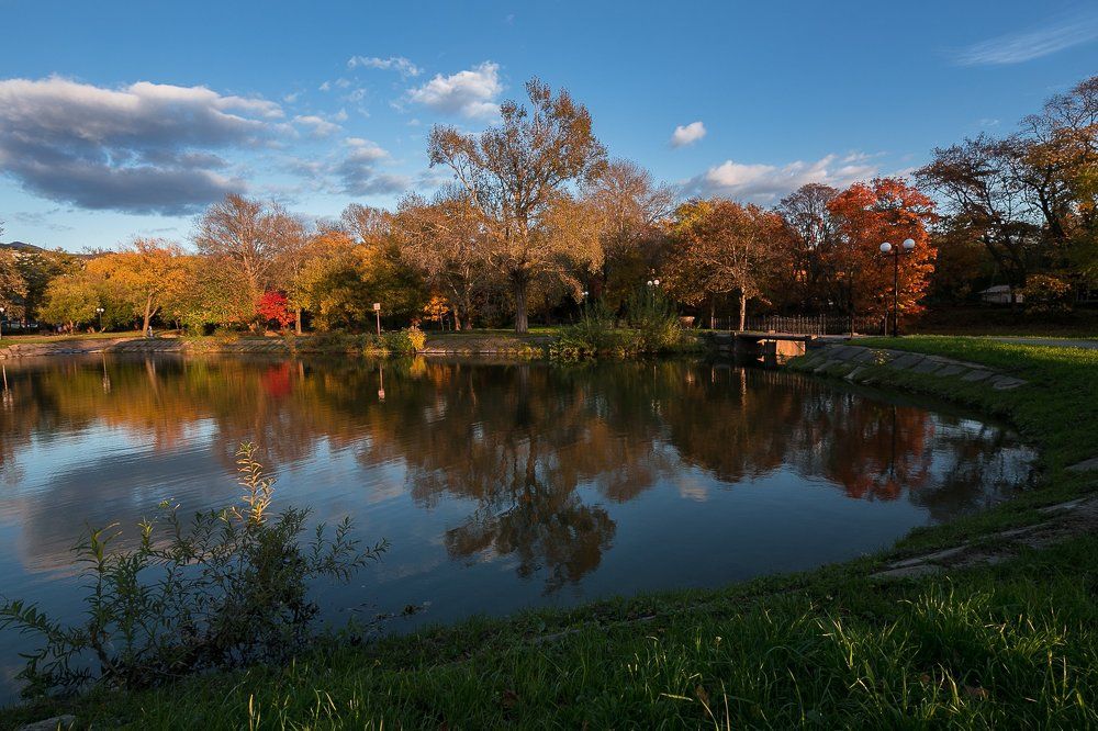 В городском парке