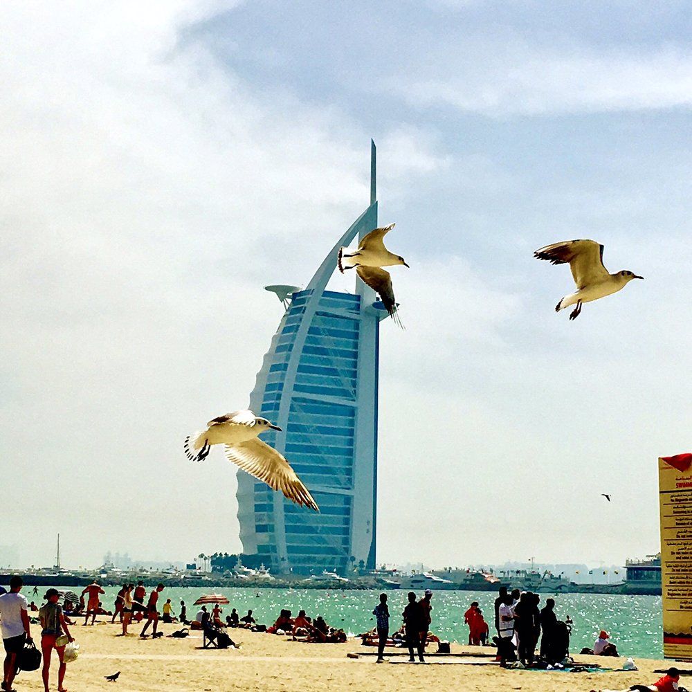 Beauty at the Beach!!!