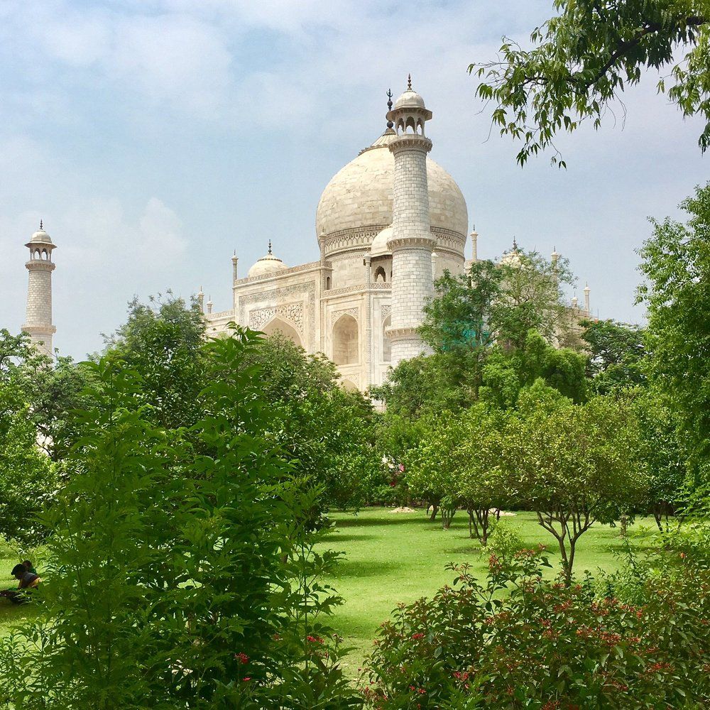 Beautiful TAJ!!!