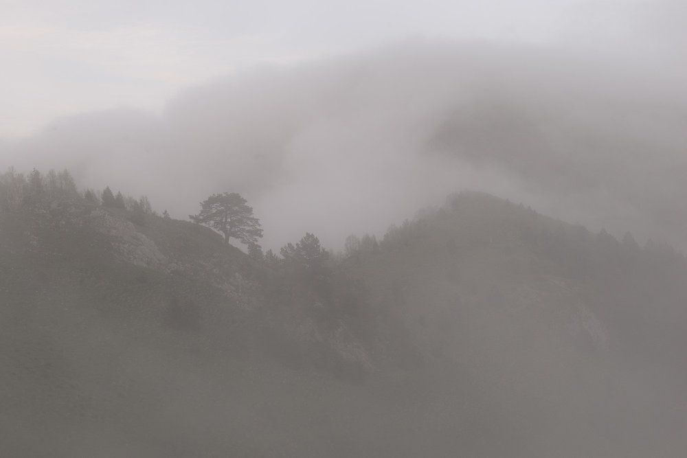 Долина в облаке