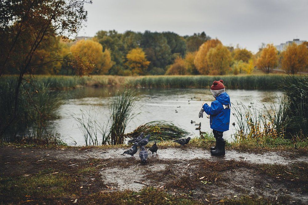 дождливый день