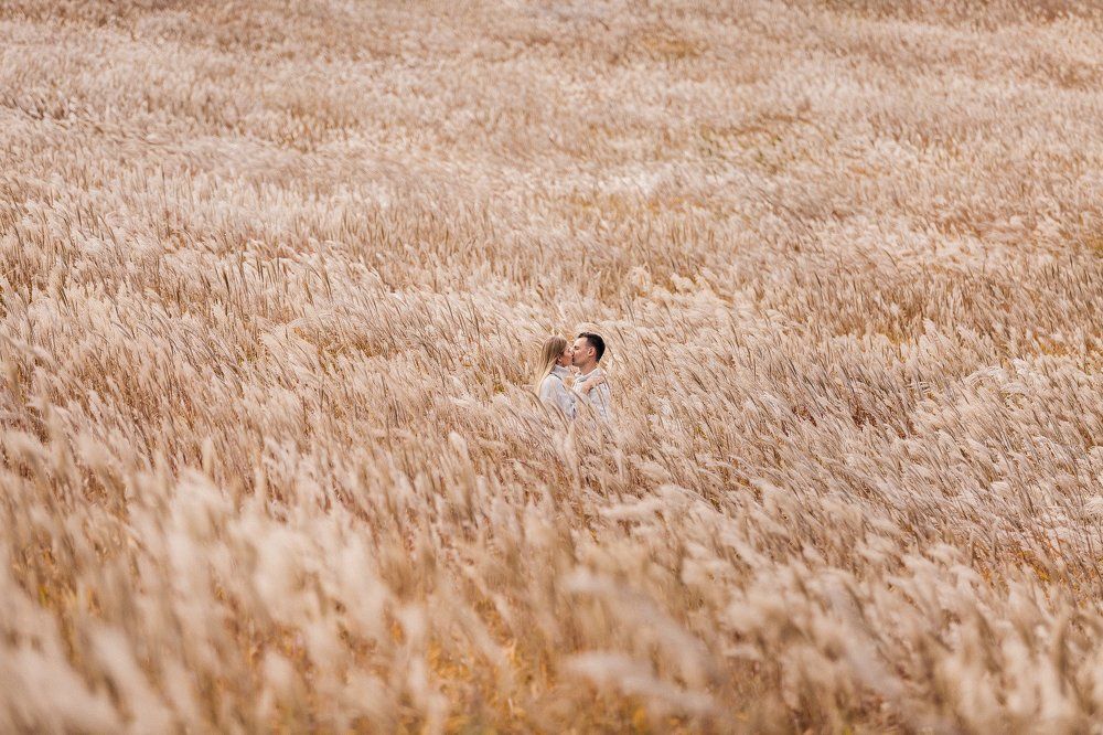 Осень дарит краски!