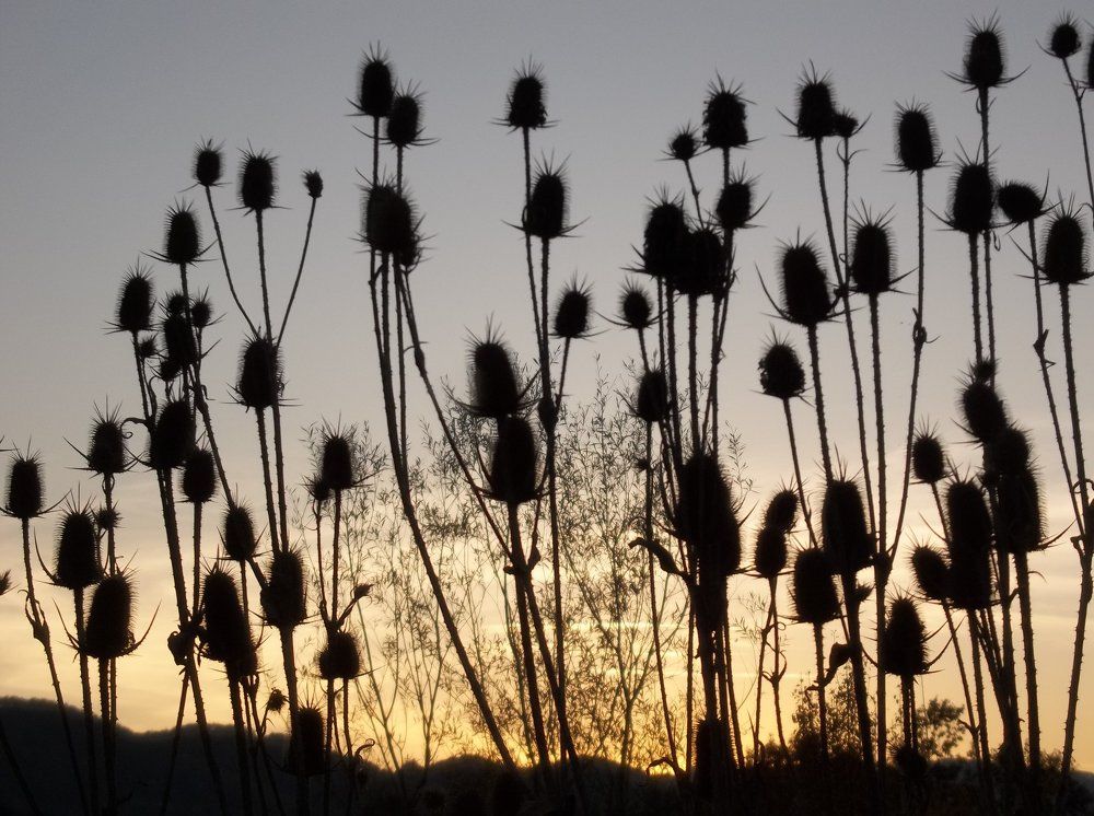 Есенен залез