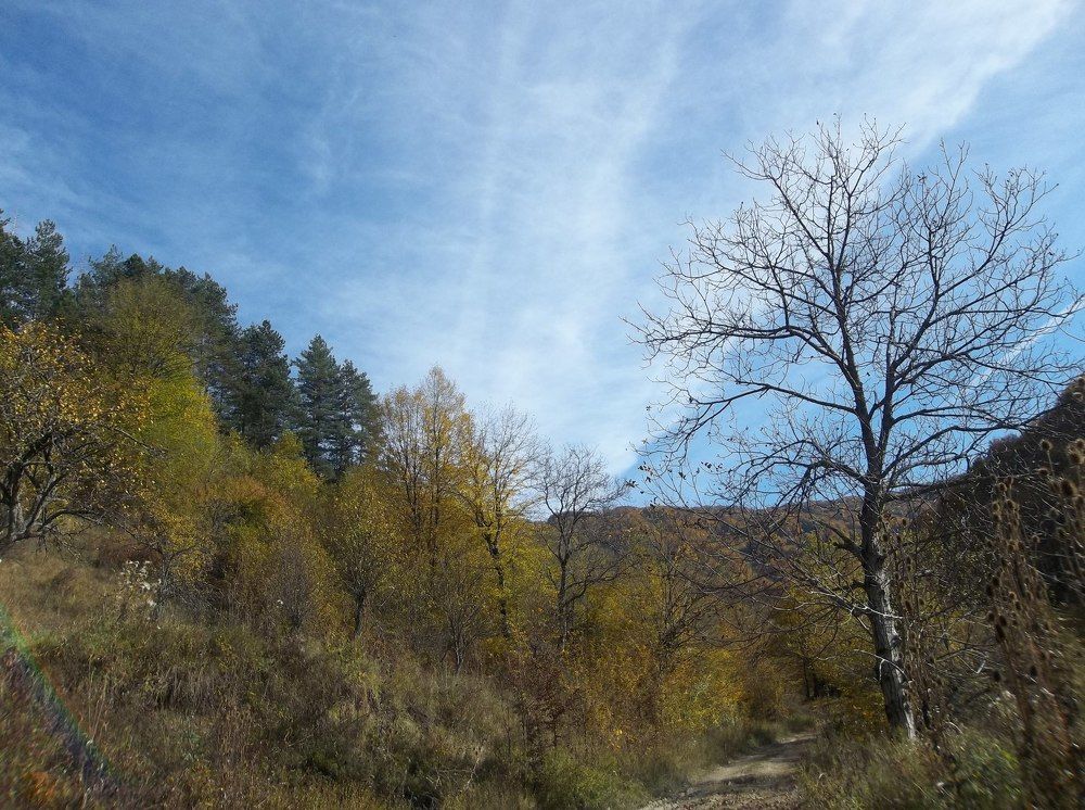 Планинска есен