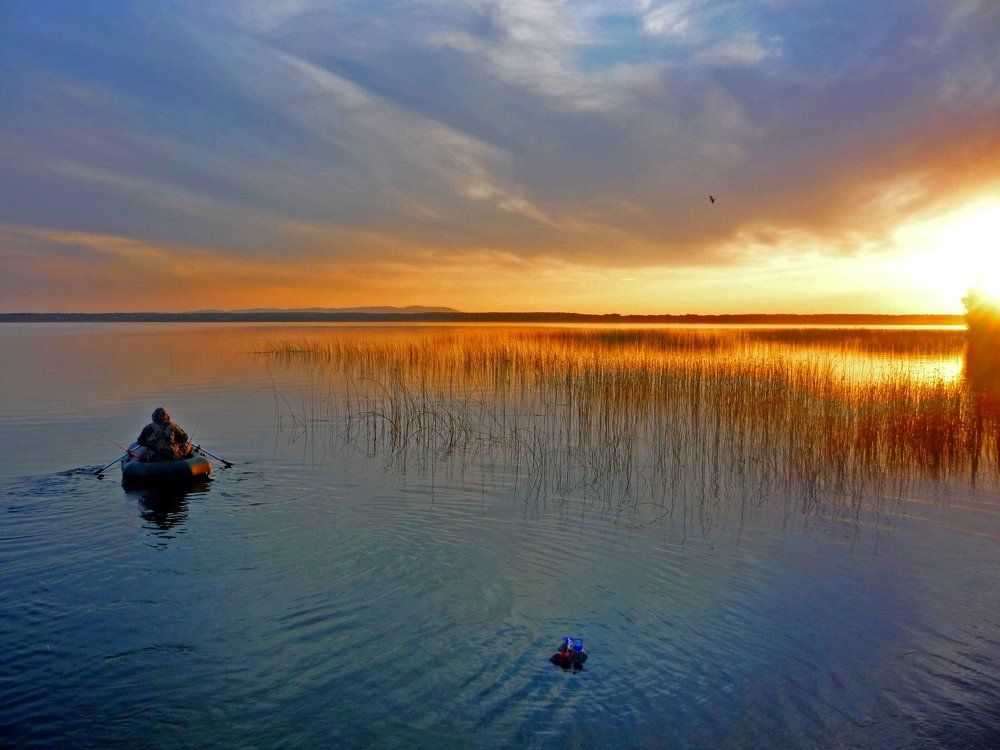 вечерняя рыбалка