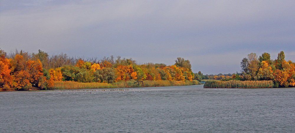 Осень на Дону.