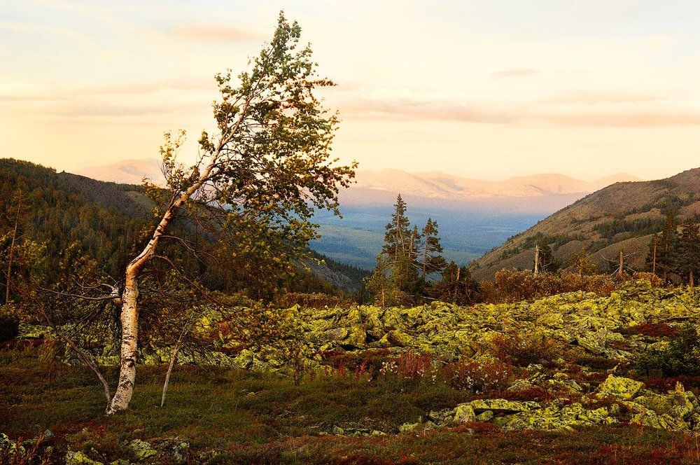 Суровая родина.