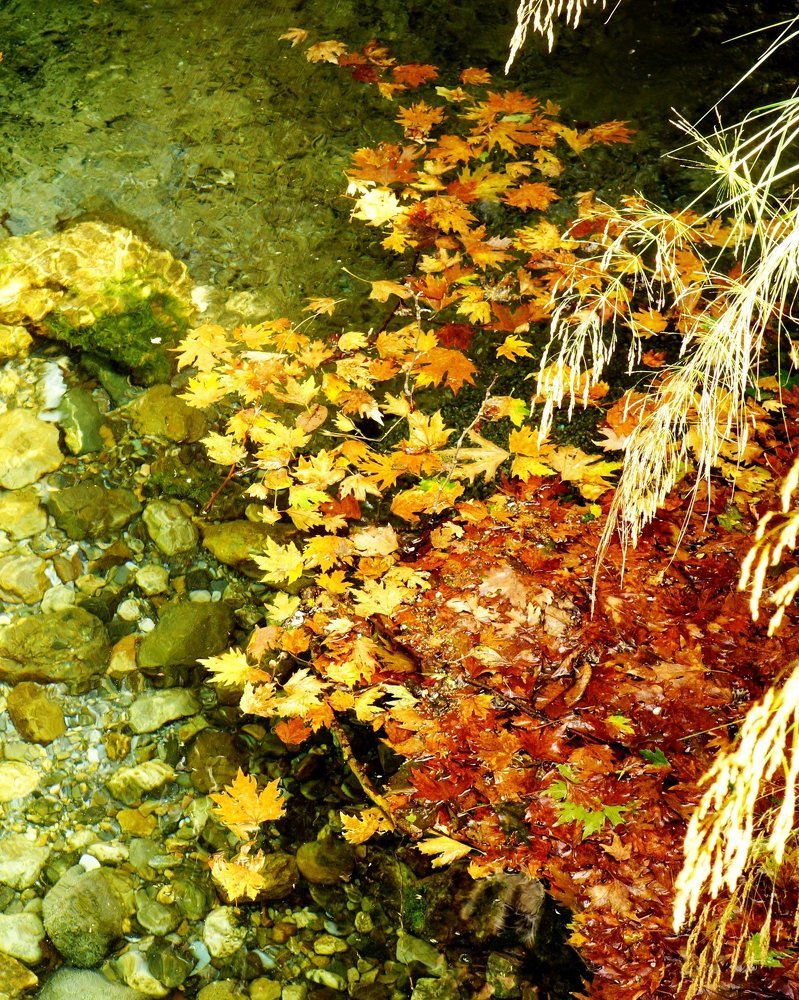 Печальная пора