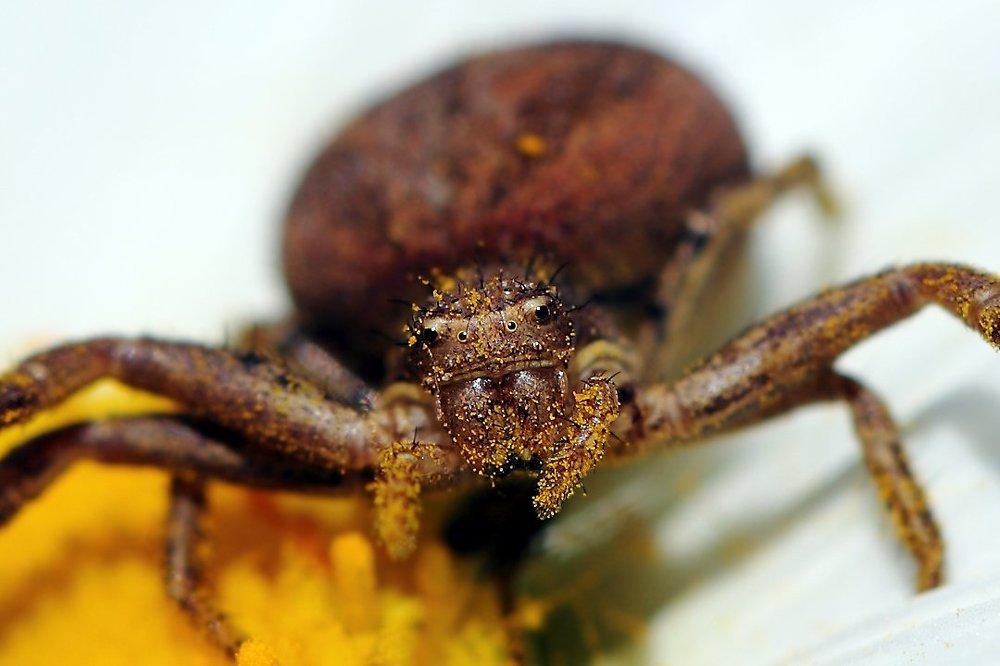 А у вас какое фото в паспорте?