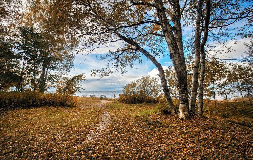 Золотая тропинка