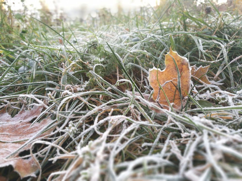 Первый иней