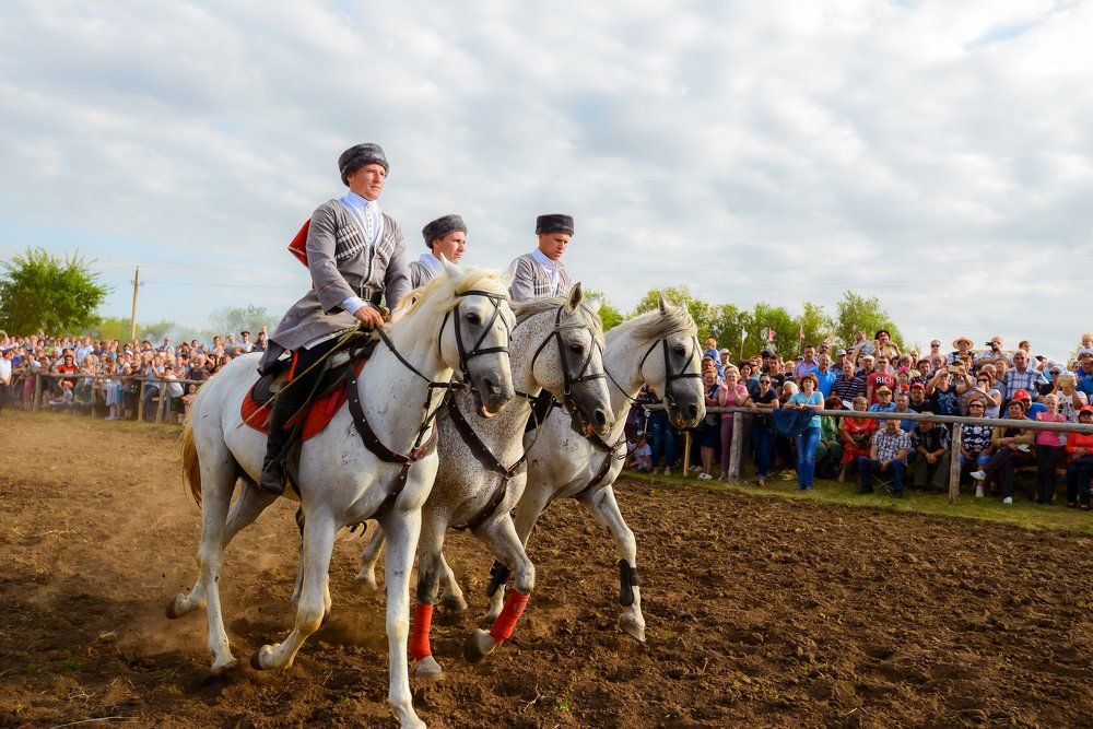 Выступление казаков