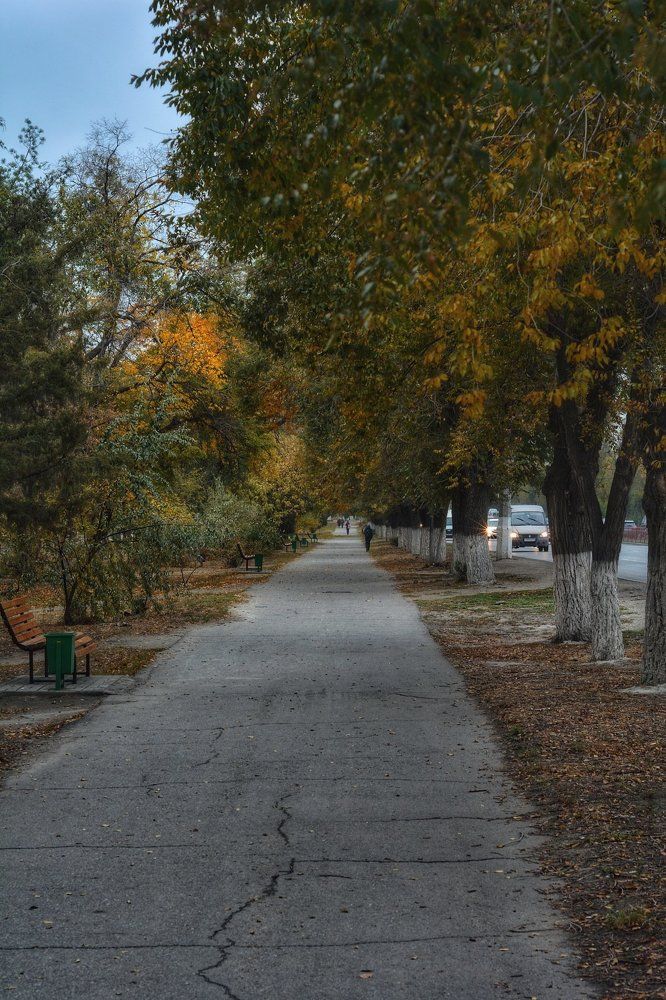 Осенняя аллея