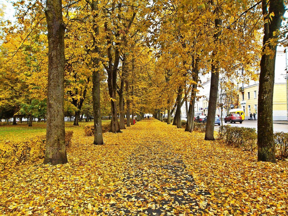 Солнечная аллея