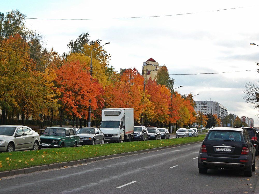 Осенняя палитра