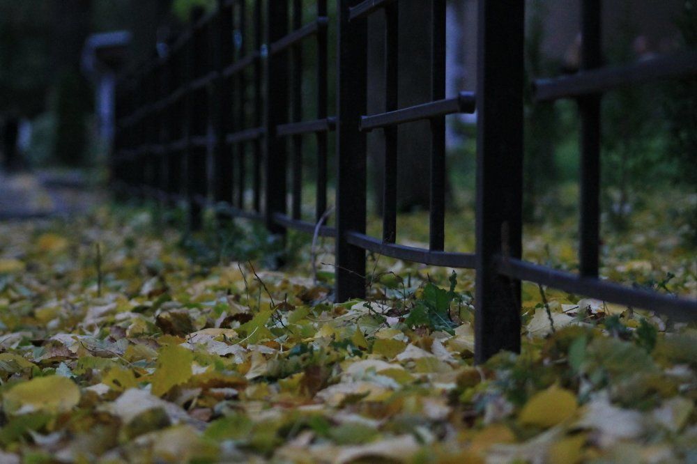 Photograph by Михаил Черкашин