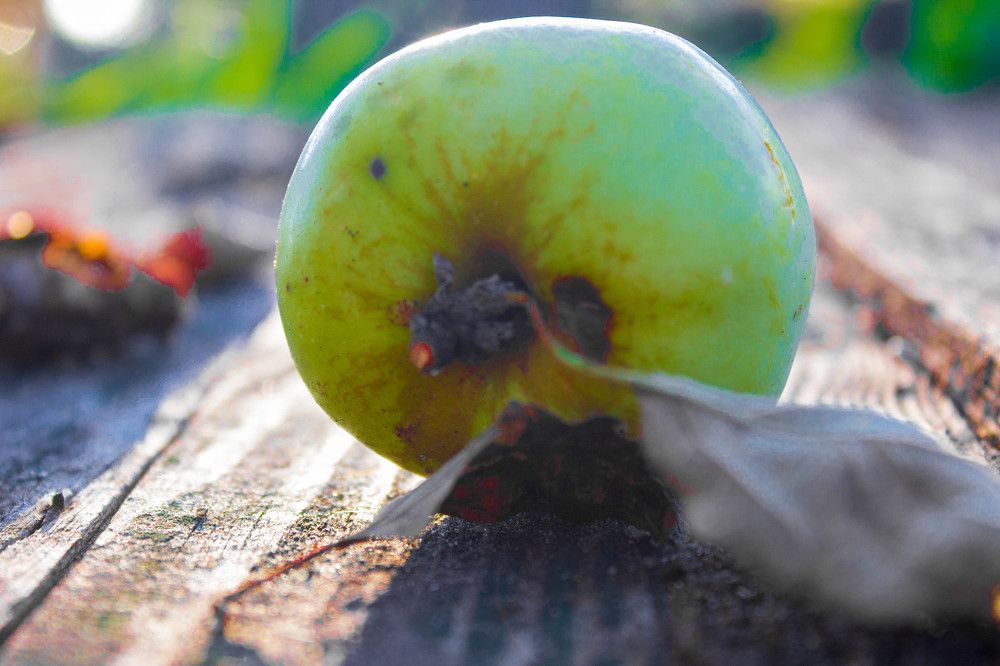 Photograph by Никифоровец Татьяна