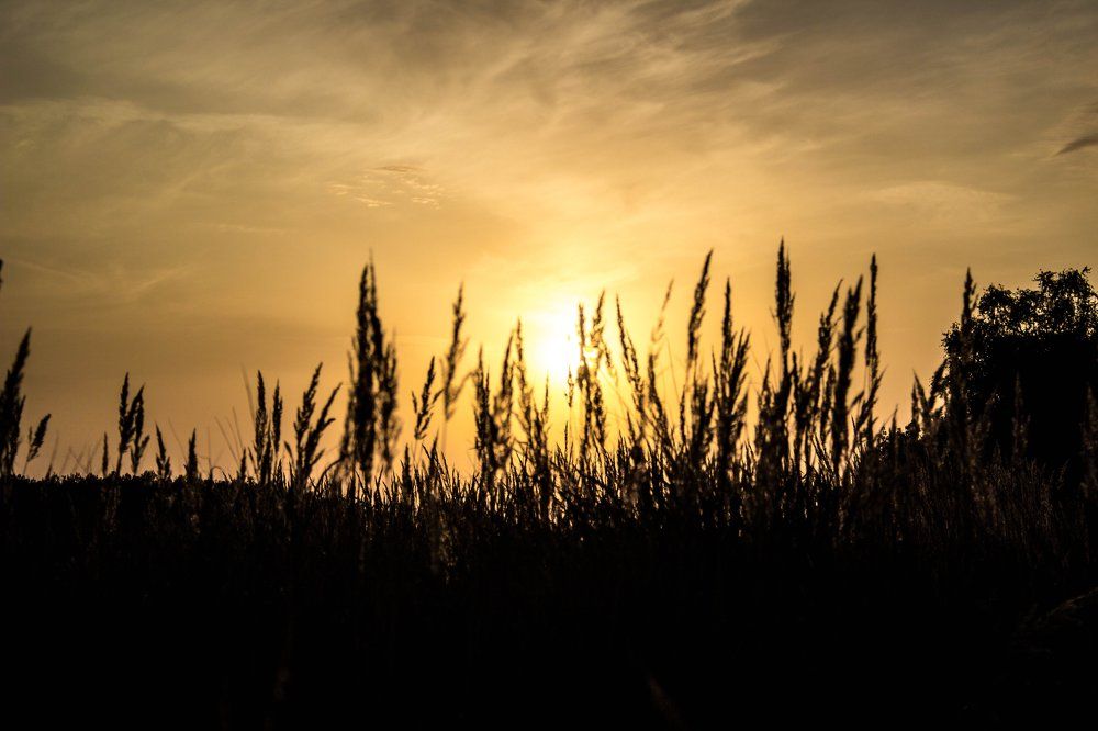 Photograph by Никифоровец Татьяна