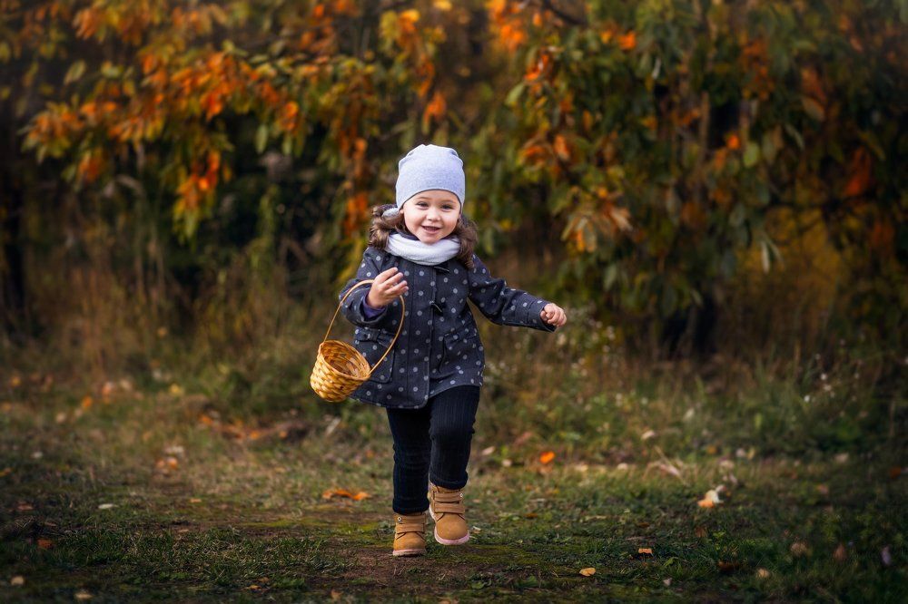 Лесная прогулка