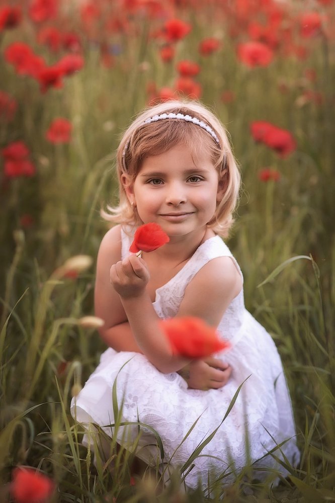 Маковое поле