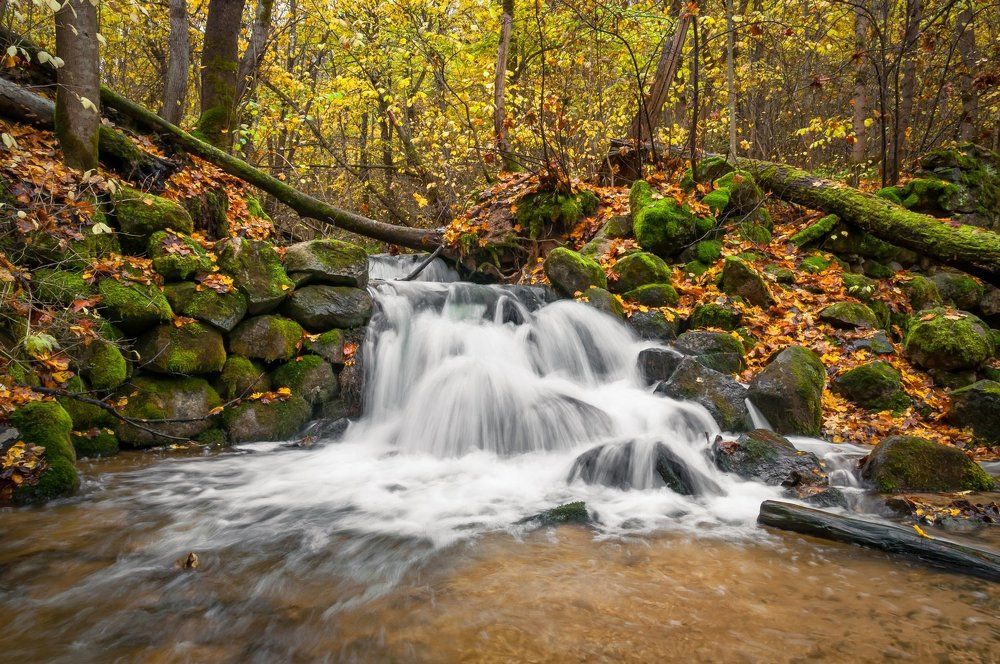 Краски осени