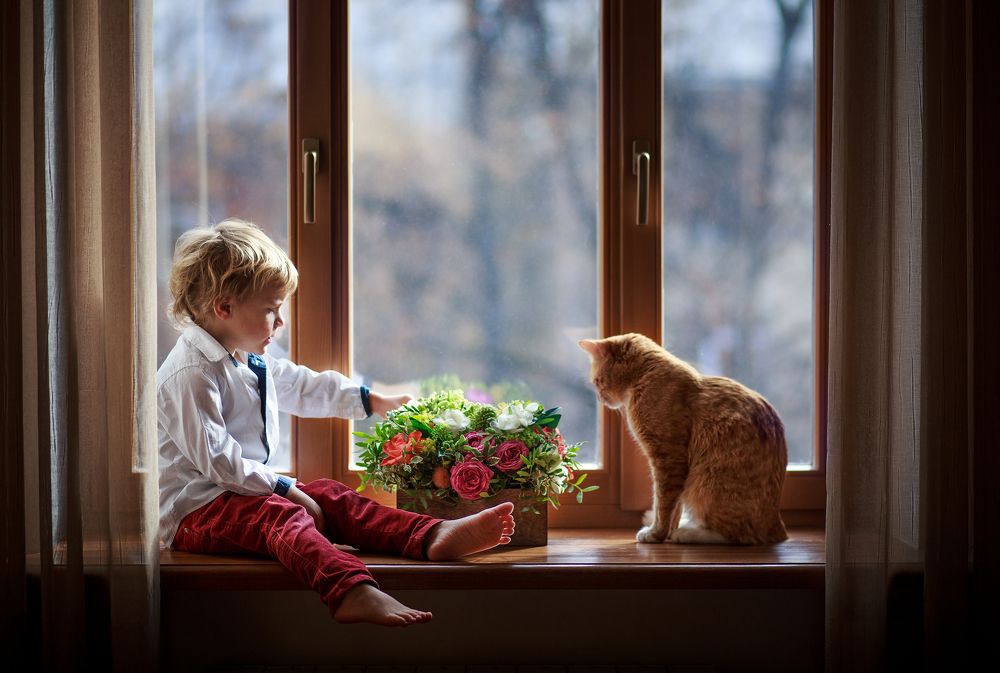 Photograph by Анна Родионова