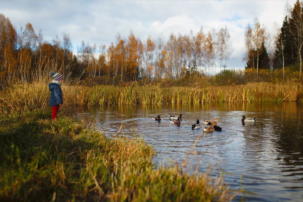 Photograph by Анна Родионова