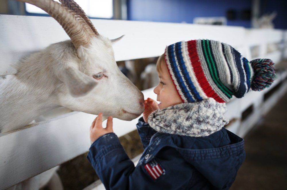 Photograph by Анна Родионова