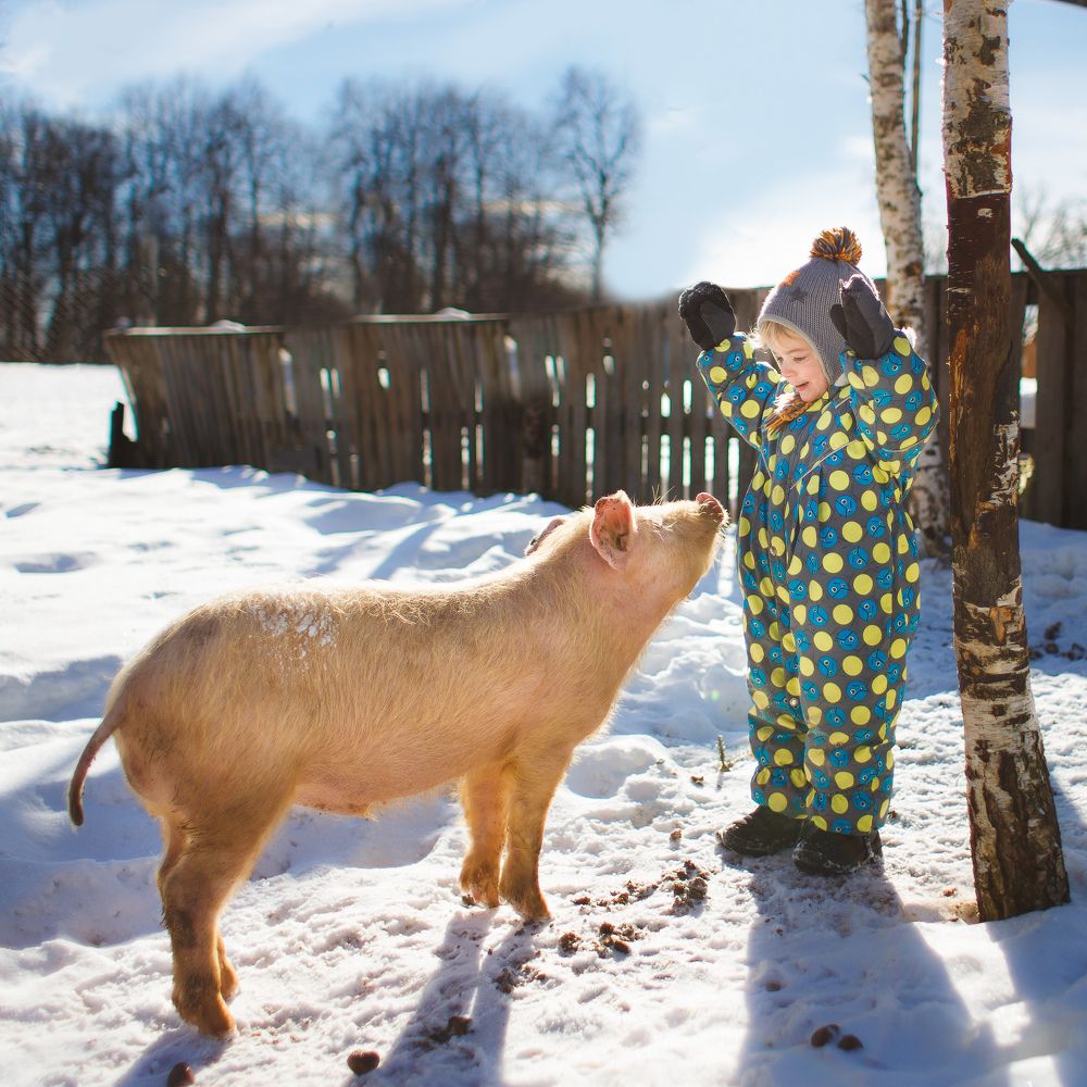 Photograph by Анна Родионова