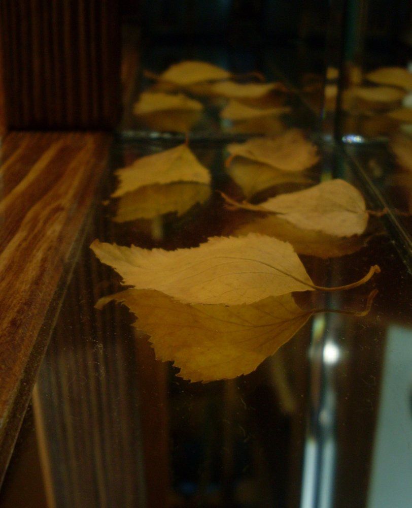 Вот и осень