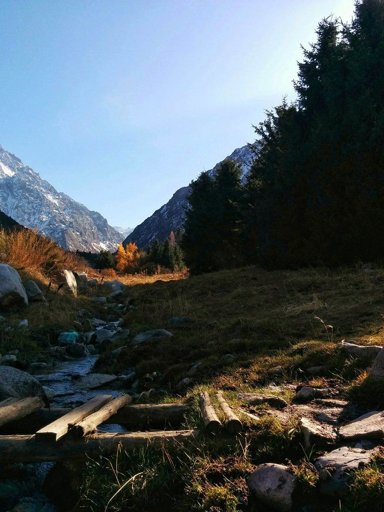 Парк Алаарча