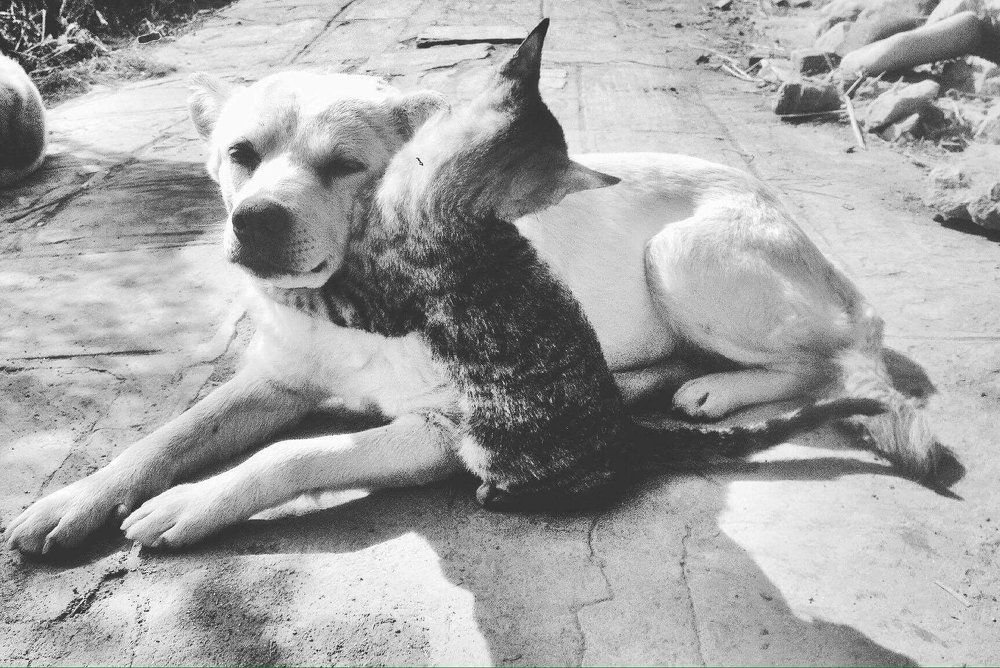 hug