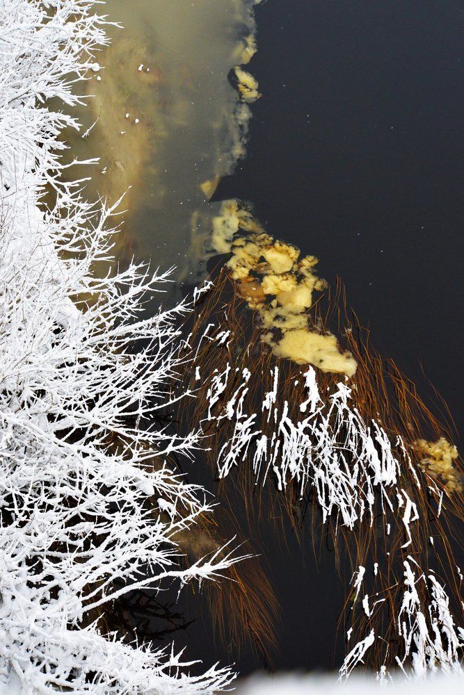 Photograph by Дарья Молчанова