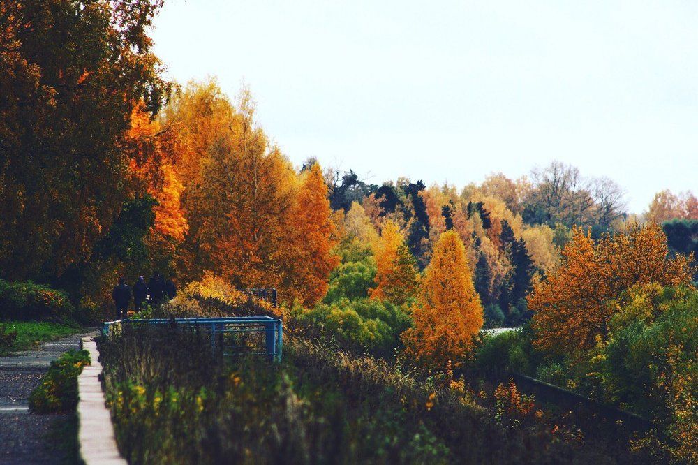 Яркое настроение.