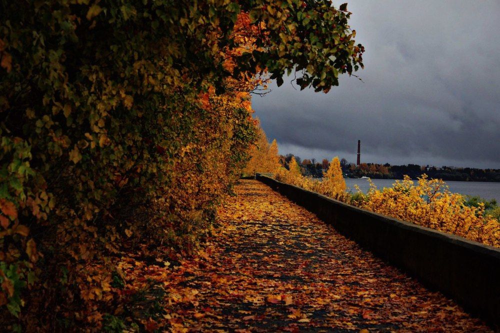 Вечером на набережной.