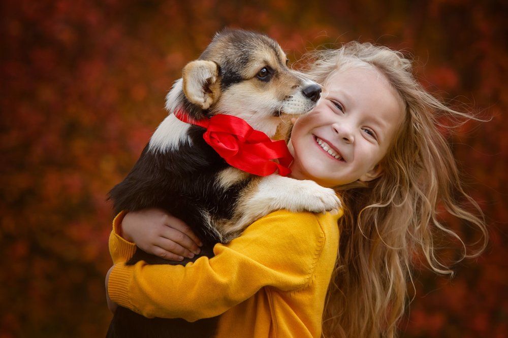 Осеннее счастье