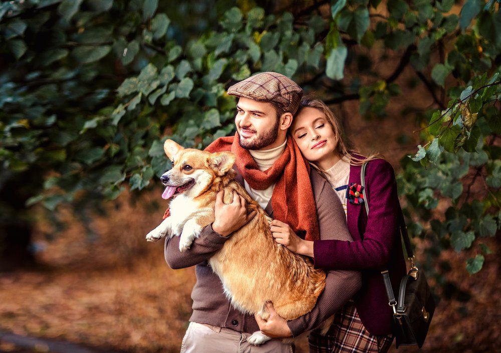 Закат осени