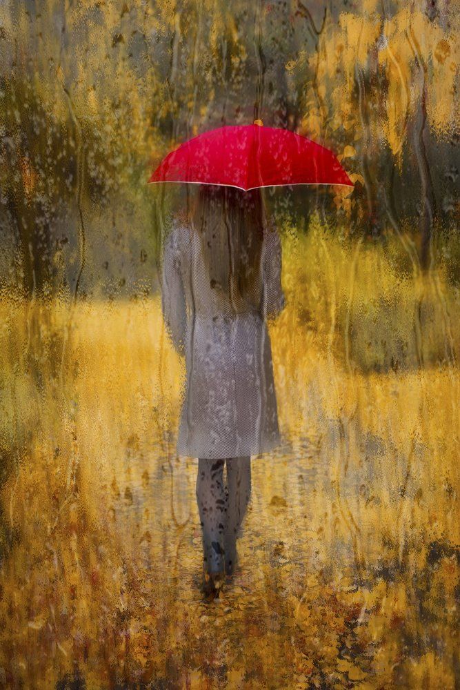 Прогулка под дождем