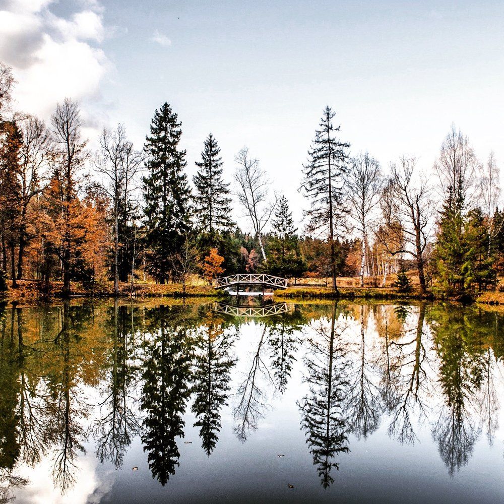 Photograph by Marina