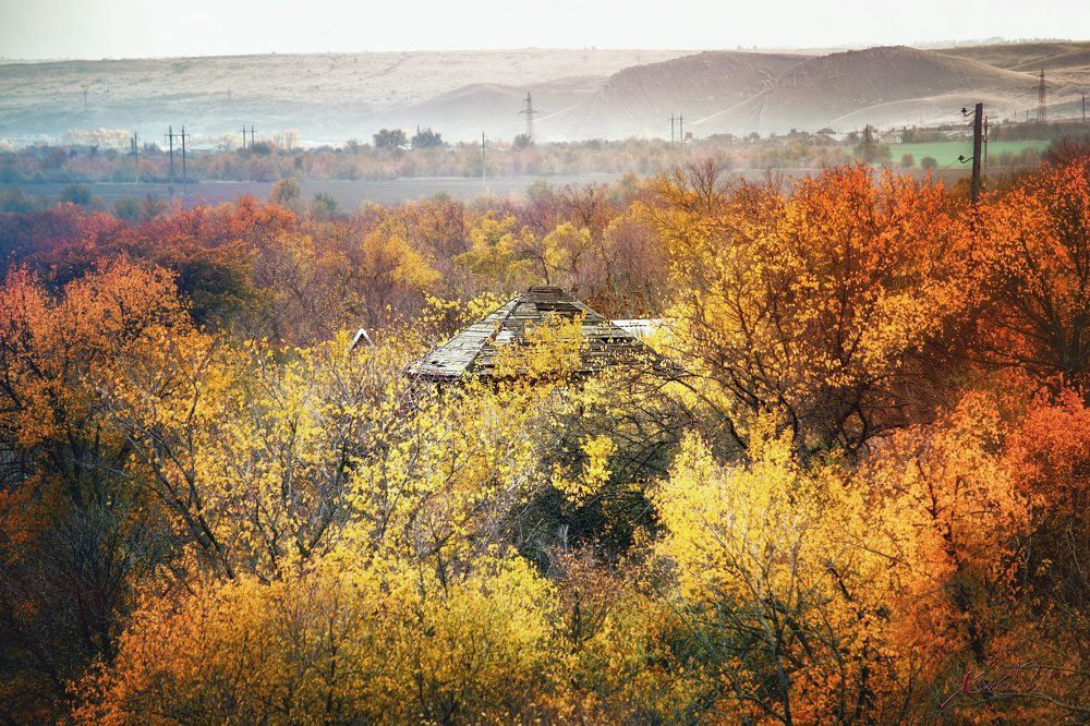 Осенняя пастель