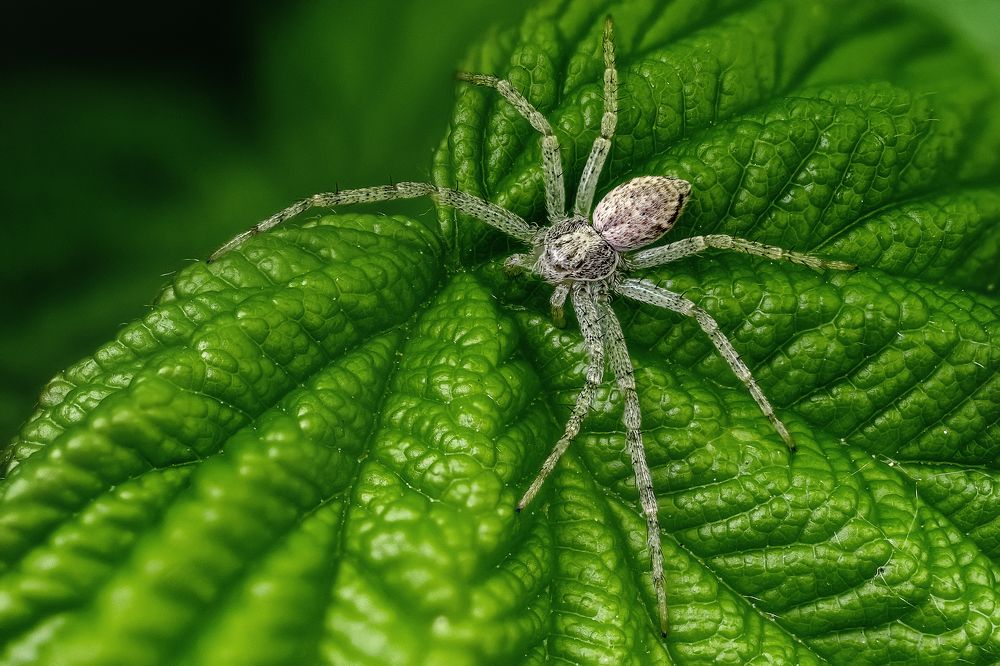 Photograph by Эльдар Гуртуев