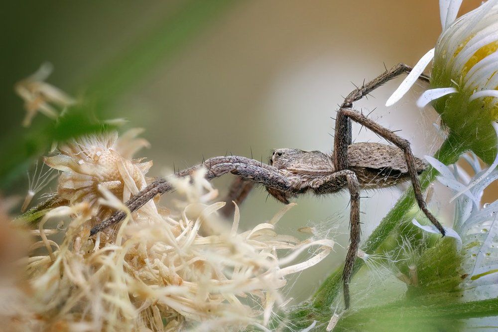 Photograph by Эльдар Гуртуев