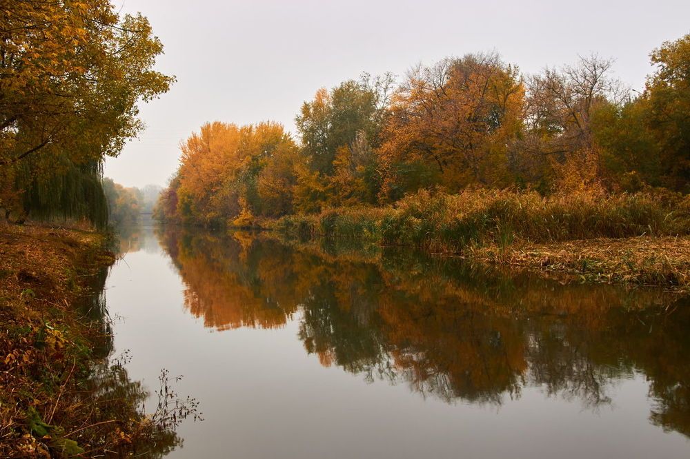 Photograph by Евгений Лобойко