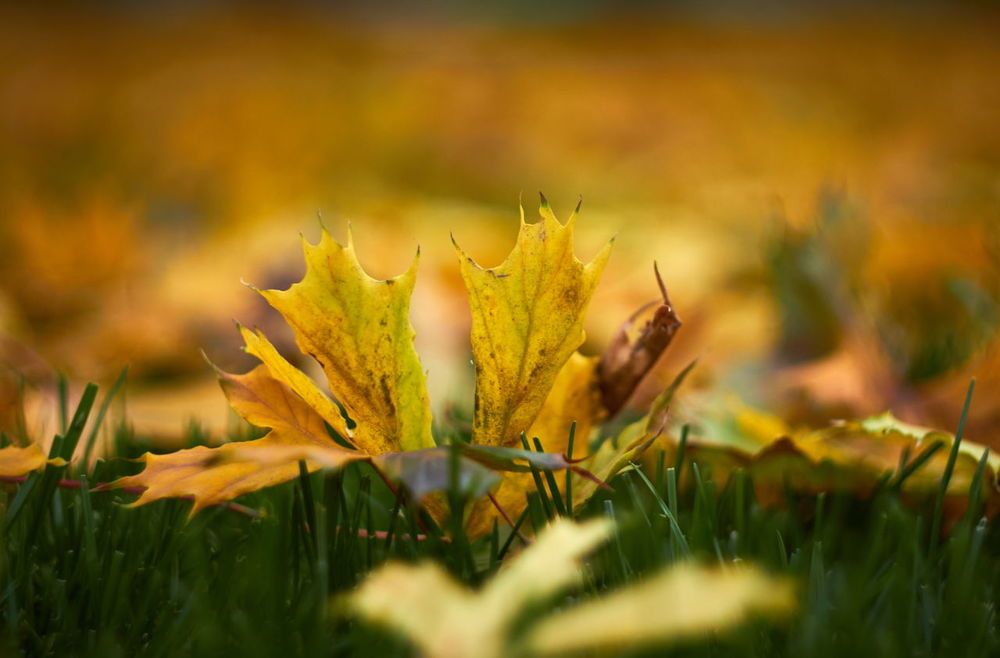 Photograph by Евгений Лобойко