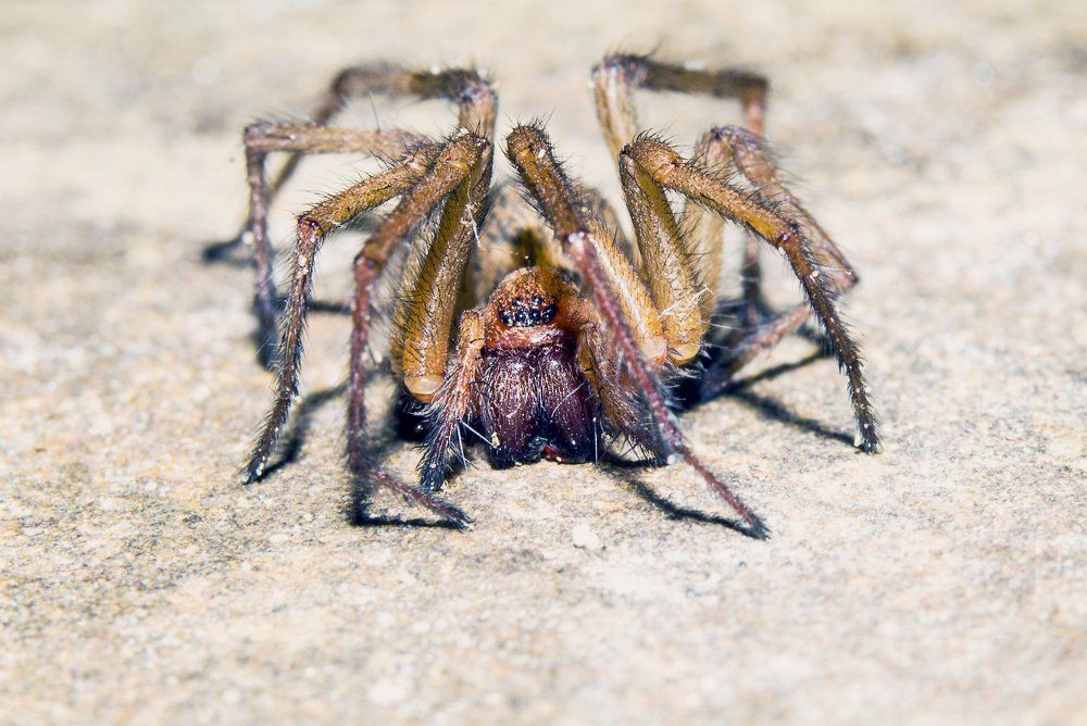 Изготовился